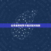 白羊座男和双子座女配对指数，白羊座男生和什么星座最配对