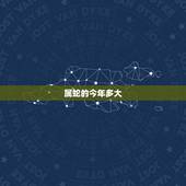 属蛇的今年多大 2023属蛇的年龄表