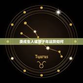 庚戍生人逢庚子年运势如何