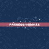 狗兔属相的爸爸妈妈属虎的宝宝，妈妈属兔爸爸属狗要个属虎的孩子好不好？