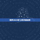 塔罗2023年12月天蝎运势，灵巫塔罗2023 天秤座12月