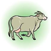 白羊女的性格与脾气特点(独具魅力火爆脾气难以控制)