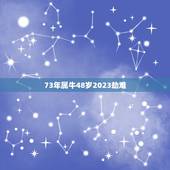 73年属牛48岁2023劫难，2023年属牛女全年运势