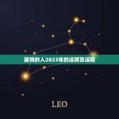 属狗的人2023年的运势及运程，麦玲玲属狗人2023年运势及运程如何？