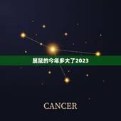 属鼠的今年多大了2023，属鼠最小的今年多大了