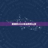属猪的2023年运势怎么样 1995年2023年属猪运势