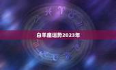 白羊座运势2023年，2023白羊座全年运势每月