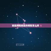 输鼠的和输鼠的婚配怎么样，1984年男属鼠与1996女属鼠婚配怎么样