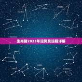 生肖猪2023年运势及运程详解，生肖猪2023年运势及运程详解视频