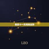 阴历十一月鸡狗运势，属猪阴历十一月运势