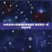 00的龙和95的猪相配婚姻如何 猪和龙在一起财运好吗