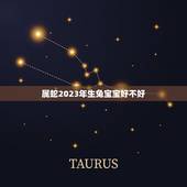 属蛇2023年生兔宝宝好不好，两个属蛇的生个兔宝宝好么