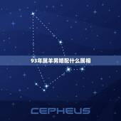 93年属羊男婚配什么属相，属羊的男的和什么属相的女的比较配