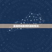 属相狗和属狗的相配吗(狗狗之间的爱情能否长久)