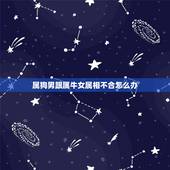 属狗男跟属牛女属相不合怎么办，属狗和属牛的合不合