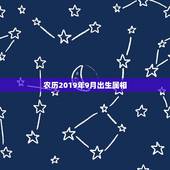 农历2019年9月出生属相，农历2019年9月11日晚上21：00分出