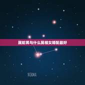 属蛇男与什么属相女婚配最好，属蛇的男孩与属什么的女孩最合婚，要详细点