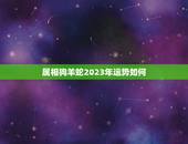 属相狗羊蛇2023年运势如何，2023蛇人全年运势如何