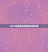 2023年最漂亮的微信头像可爱，2023新版微信头像怎样从黑白恢复