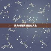 属兔婚姻属相配对大全(让你轻松找到兔子属相的婚姻配对)