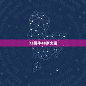 73属牛48岁大运，73年属牛的十年大运