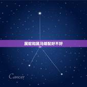 属蛇和属马婚配好不好，男属马与女属蛇婚配好吗？