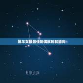 属羊女孩最佳配偶属相和婚向，属羊的女的和什么属相最配