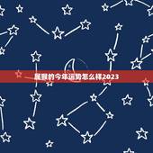 属猴的今年运势怎么样2023，80年属猴人在2023年的全年运势