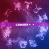 巨蟹座流星雨2023，2023年巨蟹座全年运势