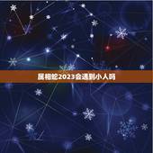 属相蛇2023会遇到小人吗，蛇人2023年每月运程每月运势