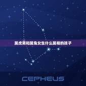 属虎男和属兔女生什么属相的孩子，女属兔男属虎生什么属相的孩子好