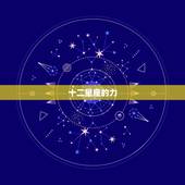 十二星座的力，十二星座的守兽