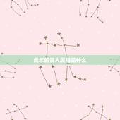 虎年的贵人属相是什么，属虎的和什么属相最配财运怎么样