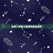 生辰八字属火属相鸡能纹龙吗，本人男，阴历90年12月30日晚23点多出