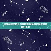 属兔和属虎的合不合婚姻 属兔的和属虎的结婚好不好