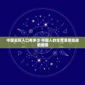 中国实际人口有多少 中国人的生育意愿低迷的原因