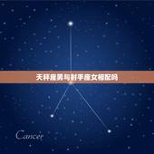 天秤座男与射手座女相配吗，天瓶座和射手座