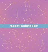 生肖狗生什么属相的孩子最好，狗妈妈和龙爸爸生什么属相的孩子好