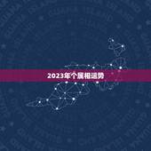 2023年个属相运势