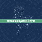 属虎的宝宝和什么属相的兄弟不和，属兔和属虎的父母和什么属相的宝宝最合