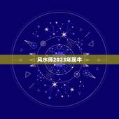 风水师2023年属牛，在众多风水师里，陈伯为何能独占鳌头？
