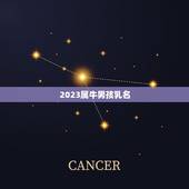 2023属牛男孩乳名，牛年怎么取男孩的小名？