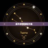 属牛的婚姻配对表，生肖属牛和属马的人结婚会怎样