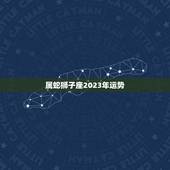 属蛇狮子座2023年运势，狮子座2023年业力年感情运势