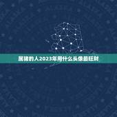 属猪的人2023年用什么头像最旺财，2023属猪人全年运势