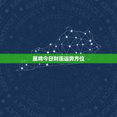 属鸡今日财运运势方位，2023 年1993年属运势