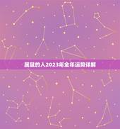 属鼠的人2023年全年运势详解(财运亨通事业有成)