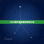 2023属牛男孩最吉利的小名，男孩名字2023年属牛