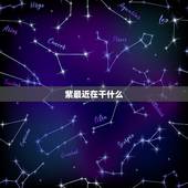 紫最近在干什么，你是怎么知道有关紫薇人的事的？有没有紫薇人？