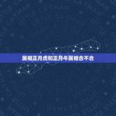 属相正月虎和正月牛属相合不合，属牛和属虎的到底合不合？